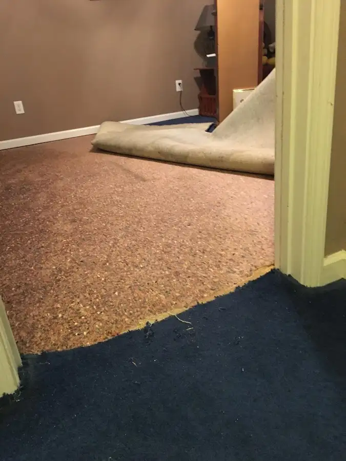 Carpet pad removal revealing water damage during Drying & Dehumidification in Seneca